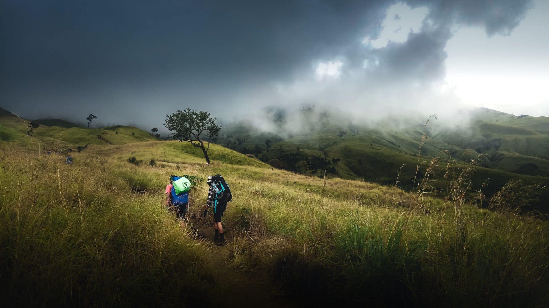 Rinjani