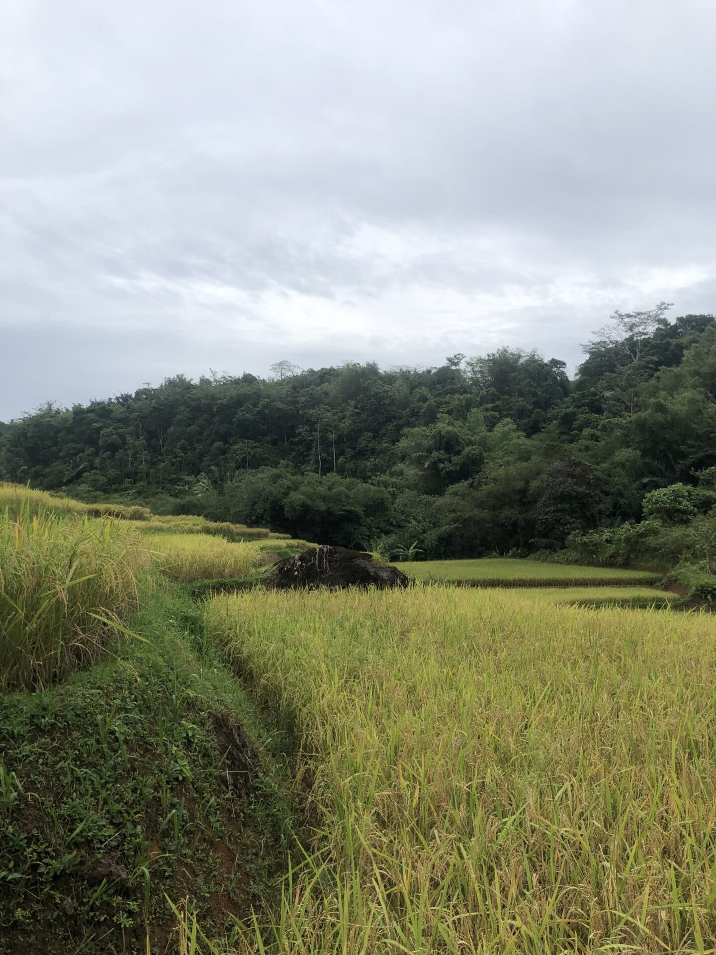 Kerinci2