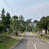 Kahang1